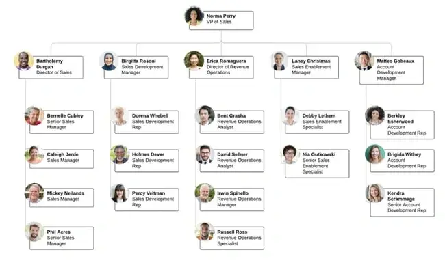 organizational structure, sales