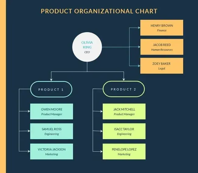 organizational structure, product organization