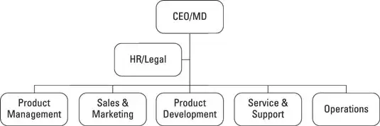 organizational structure, product organization