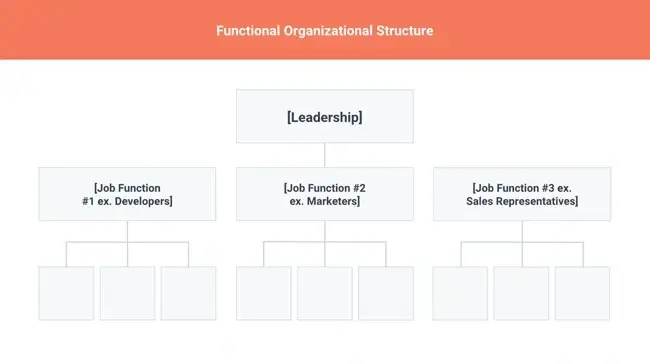 organizational structure, functional