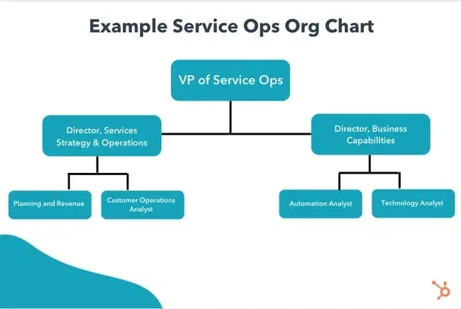 types of organizational structure, service