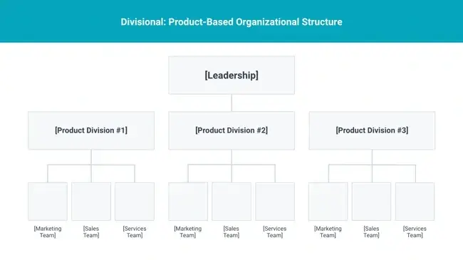 organizational structure, product based