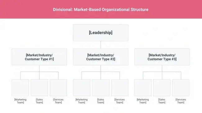 organizational structure, market based