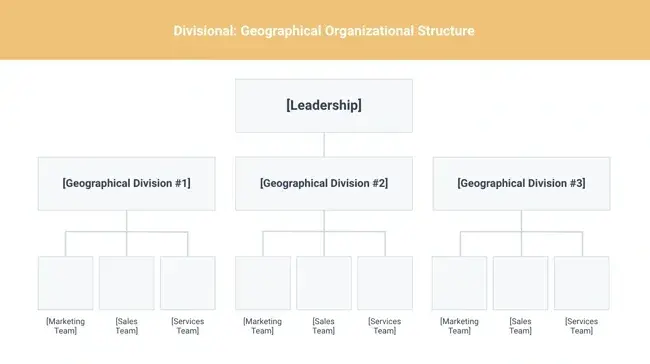 organizational structure, geographical divisional