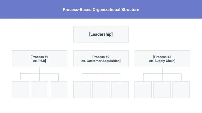 organizational structure, Process-Based