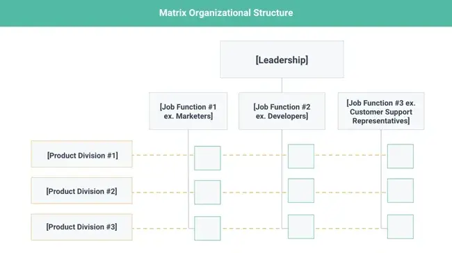 organizational structure, matrix
