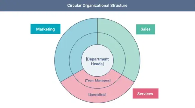 organizational structure, circular