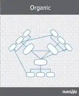 organizational structure, flat