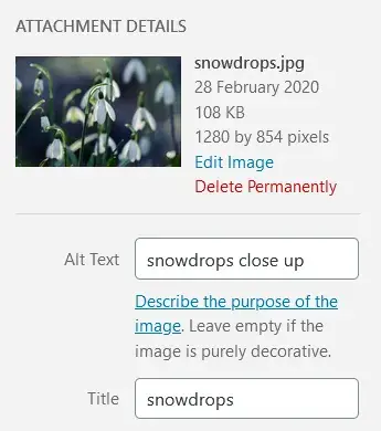 screenshot from wordpress of alt image text