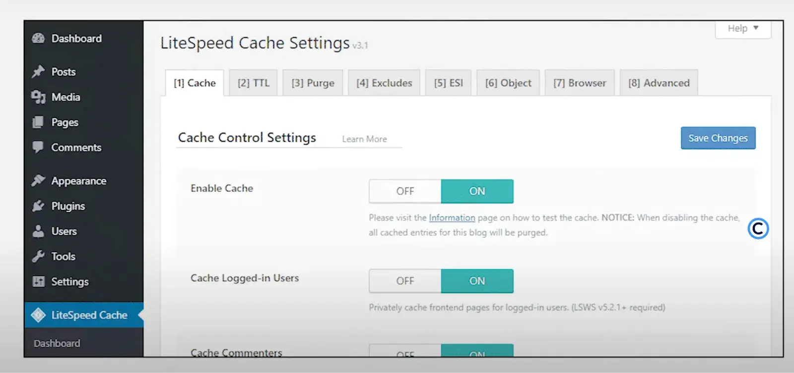 litespeed cache settings