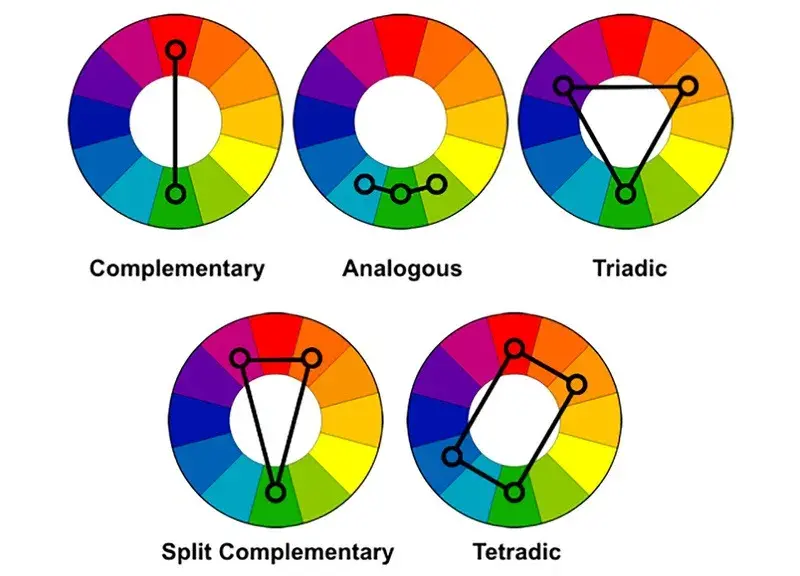 Using color harmonies like those in this example can help you understand color theory.