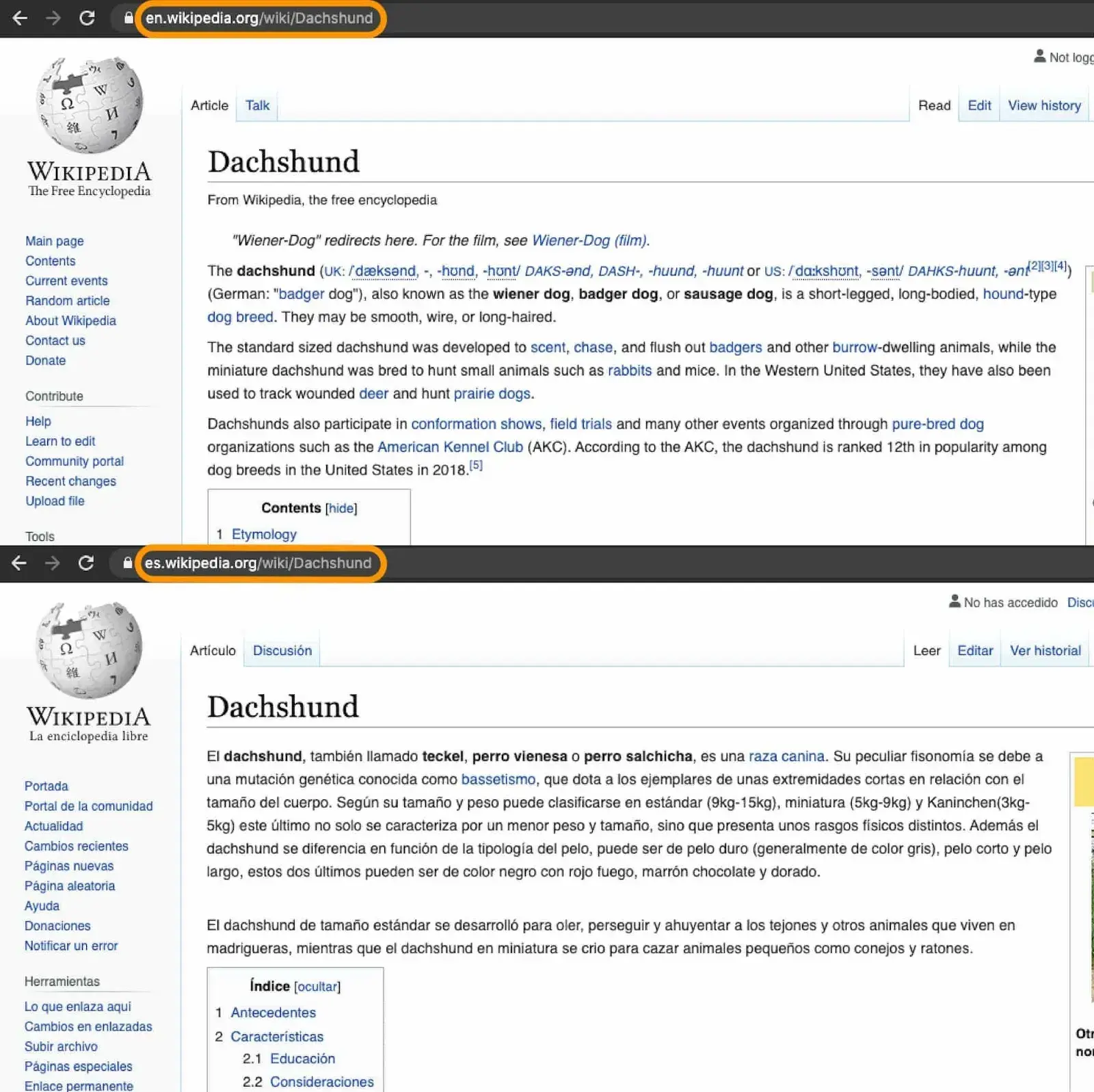 example of subdomain in wikipedia.com